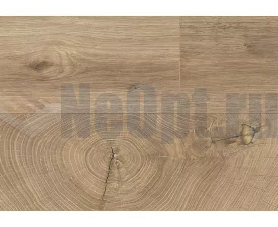 Ламинат Kaindl Natural Touch Premium Plank Дуб Фреско Лодж K4381, изображение 3