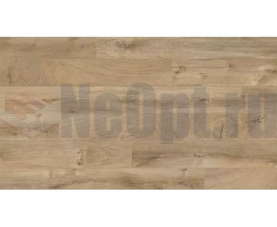 Ламинат Kaindl Natural Touch Premium Plank Дуб Фреско Лодж K4381, изображение 4